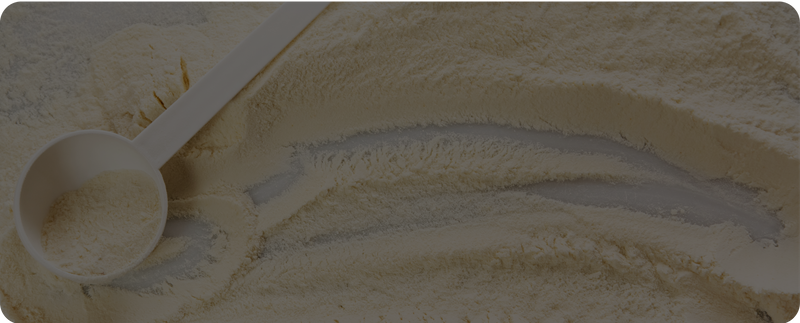 Whey Protein Isolate